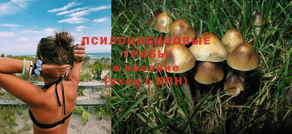 сатива Михайлов