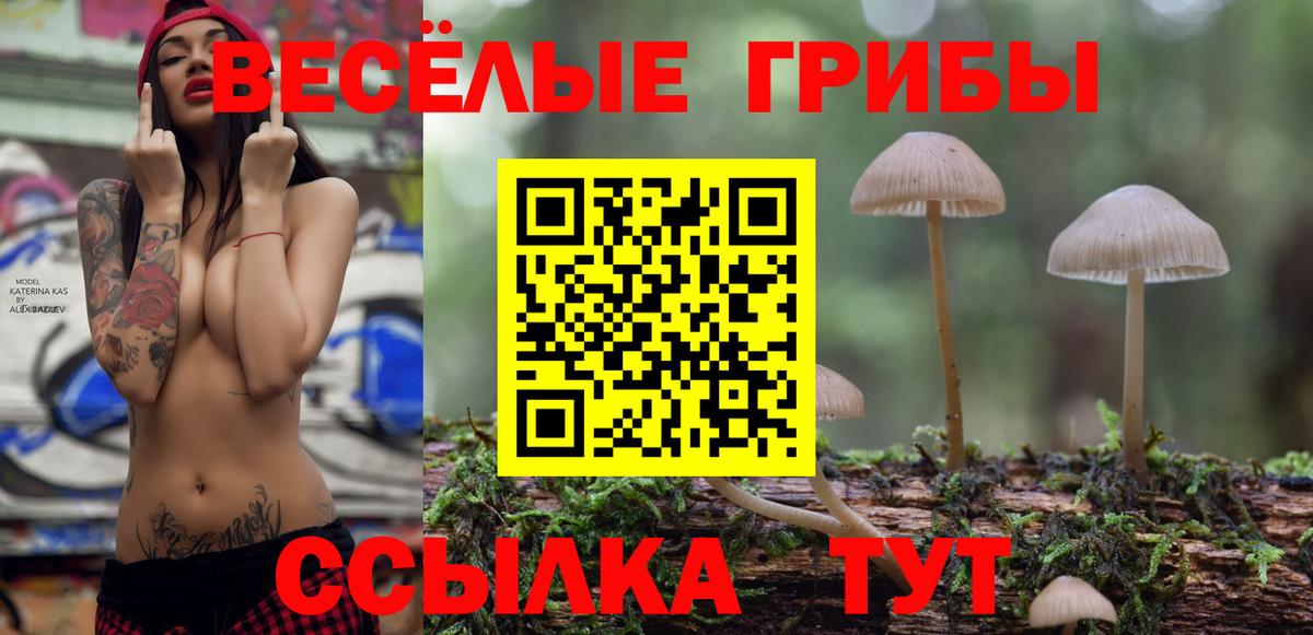 Курганинск  даркнет сайт  Вход с VPN  Галлюциногенные грибы Magic Shrooms 