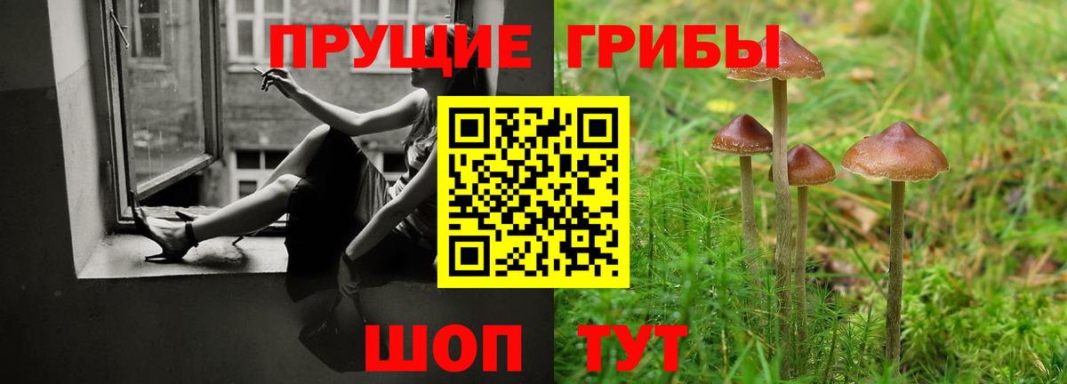 Псилоцибиновые грибы Psilocybine cubensis Курганинск