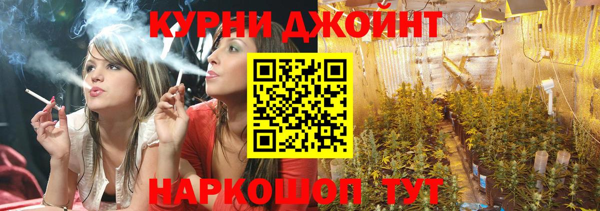 Марихуана конопля  Курганинск  Канабис индика  Бошки марихуана индика 